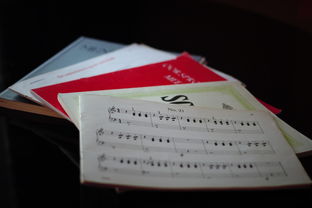 华体会全站-中小学体育课程内容优化实践，中小学体育课程一体化研究