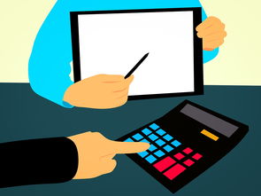 华体会入口-中国足球年度高风险传球成功率追踪评估，足球员高风